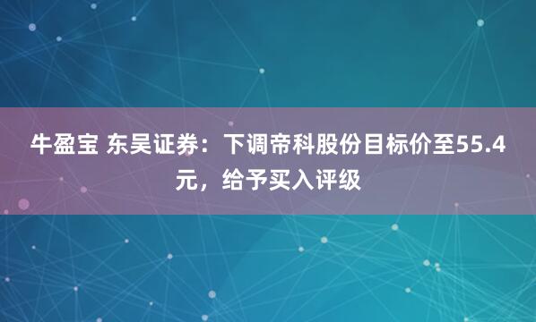 牛盈宝 东吴证券：下调帝科股份目标价至55.4元，给予买入评级