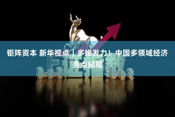 钜阵资本 新华视点｜多维发力！中国多领域经济亮点频现