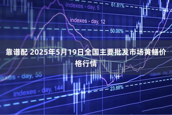 靠谱配 2025年5月19日全国主要批发市场黄鳝价格行情
