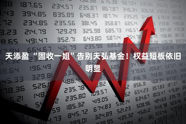 天添盈 “固收一姐”告别天弘基金!权益短板依旧明显
