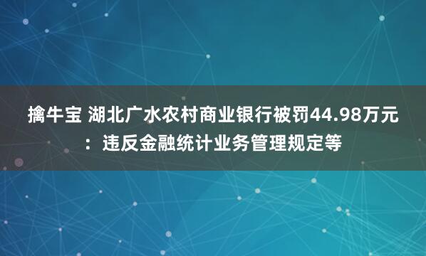 擒牛宝 湖北广水农村商业银行被罚44.98万元：违反金融统计业务管理规定等