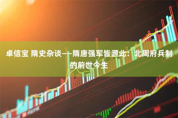 卓信宝 隋史杂谈——隋唐强军皆源此：北周府兵制的前世今生
